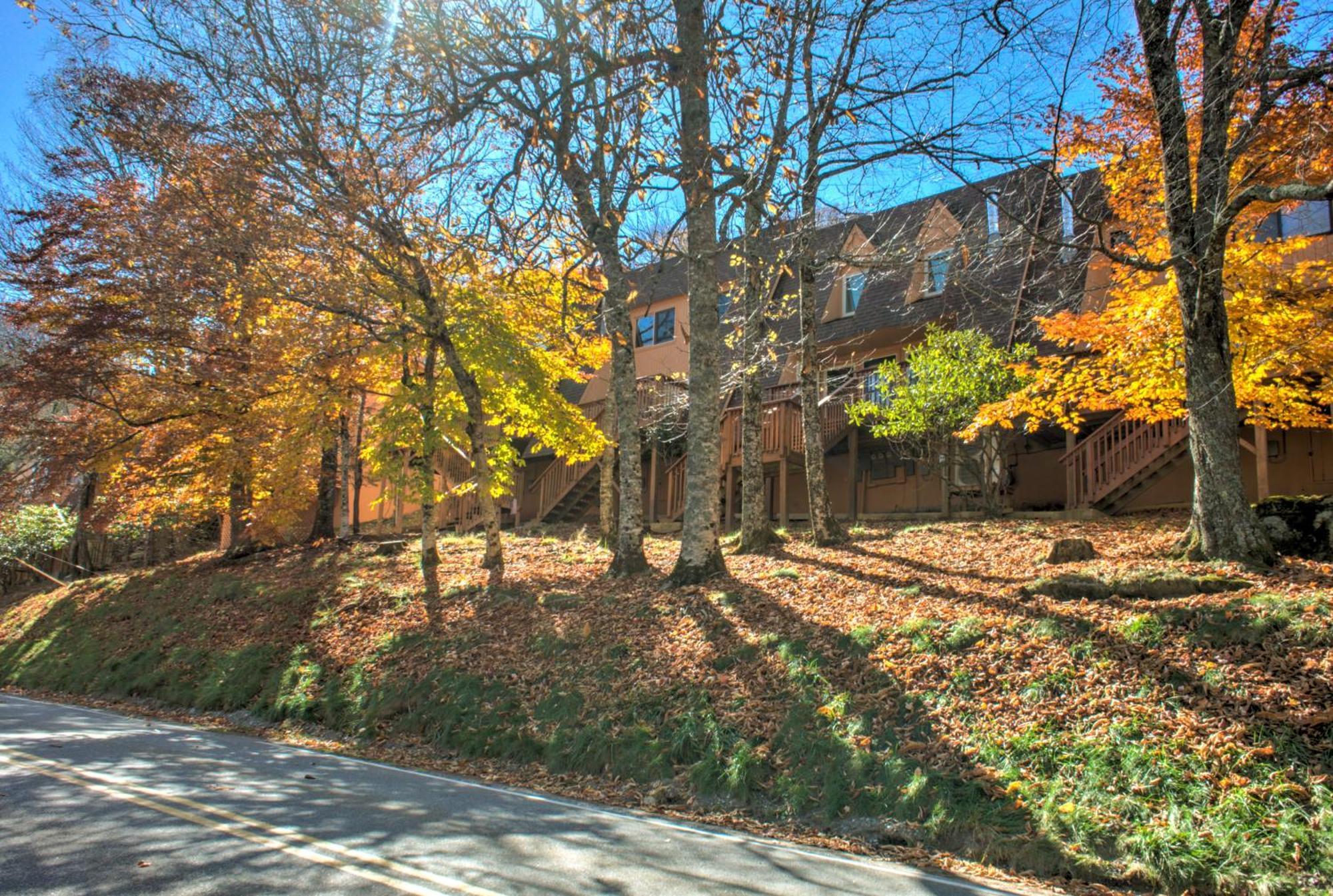 Cedar Village Condominiums ビーチ・マウンテン エクステリア 写真